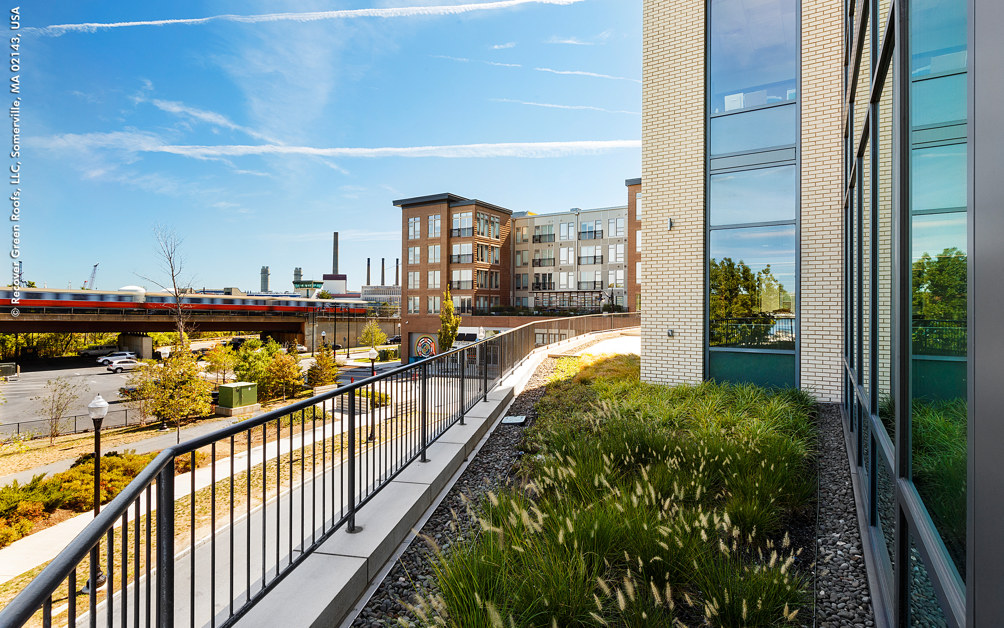 Roof garden with grasses 